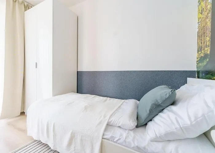 Trees Surfingbird Dźwirzyno