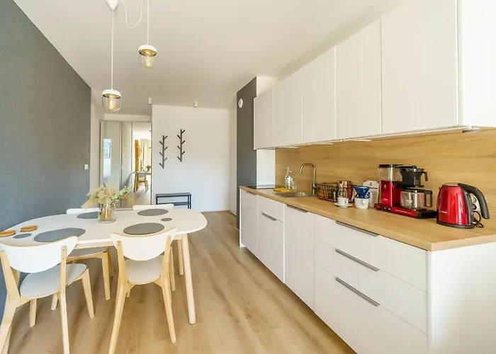 Trees Surfingbird Dźwirzyno